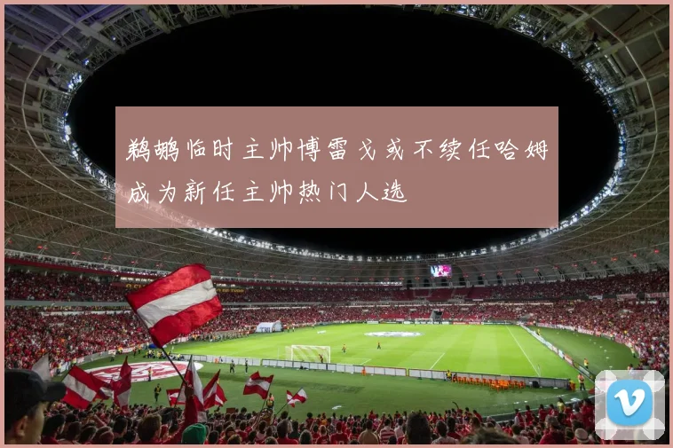 鹈鹕临时主帅博雷戈或不续任哈姆成为新任主帅热门人选